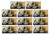 Jurassic World Minis Dinosaurs GWP38-956D Complete Bundle of 11 GWP38-956D from Pappystoyshop.com