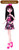 Monster High Draculaura Doll DAMAGED PACKAGING DMD47 from Pappystoyshop.com