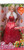 Barbie 2014 Holiday Doll DAMAGED PACKAGING