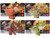 Jurassic World 2021 Camp Cretaceous Snap Squad Set of 4 GKX72-956J GKX72-956J from Pappystoyshop.com