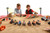 5 Surprise Monster Trucks Series 1 (2 Pack) by ZURU
