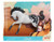 Spirit Riding Free Classic Horse Bandit Horse