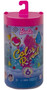 Barbie Color Reveal Chelsea Doll With 6 Surprises