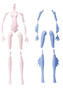 Monster High Create-A-Monster Vampire and Sea Monster Starter Set