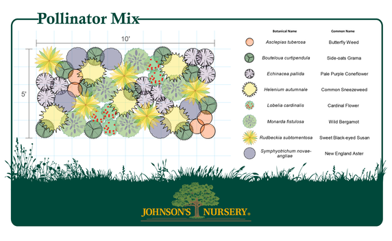 Mixed Flat - Pollinator