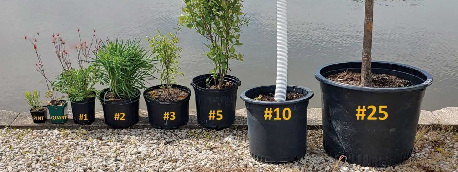 Johnson's Nursery, Inc.