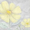 Peaceful Repose Gray & Yellow III by Tara Reed, Canvas Art - C1070263-0120000-ACCQAMA