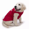 229158816.webp
