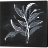 Chalkboard Branch I by Chris Paschke, Canvas Art - C1090960-0240000-8CAAAMA
