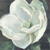 Magnolia III Sage by Carol Rowan, Framed Wall Art