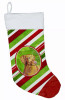 Dog and Christmas Candy Christmas Stocking - S000213B001695P118007V017