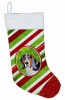 Dog and Christmas Candy Christmas Stocking - S000213B001695P118007V019