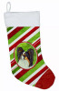 Dog and Christmas Candy Christmas Stocking - S000213B001695P118007V037