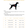 Shadow One-click dog harness - PuccissimePet000270