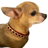 Gold Chain Velvet Collar - S002142B002493P000830V006