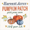 Fall Flair V by Anne Tavoletti, Canvas Art