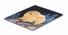 171961668.webp
