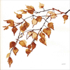 Colors of the Fall VIII by Anne Tavoletti, Framed Art