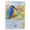Animal/Bird Nature Themed Flag Canvas - ASA2093CHF
