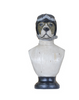 Anne Home - Dog Bust Statue