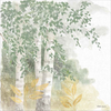Natures Leaves II Sage by Beth Grove, Canvas Art