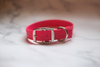 Biothane Buckle Dog Collar - S001014B001746P000002V055