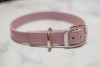 Biothane Buckle Dog Collar - S001014B001746P000002V046