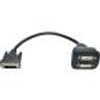 Tripp Lite, DVI Splitter Cable, Digital Monitor Y Cable, DVI-D M to 2x F, 1FT
