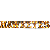 Iowa "Hawkeyes" Lighted Recycled Metal Wall Decor