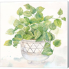 Houseplant I-Philodendron by Cynthia Coulter, Canvas Art - C1080230-0120000-ACCQAMA