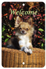 Chihuahua Longhair - Best of Breed  Indoor/Outdoor Aluminum Sign