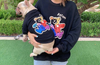 Teddy Bear - Matching Pet and Owner Clothing Set - 171000039129