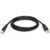 Tripp Lite, USB 2.0 Hi-Speed A/B Cable, M/M, 6FT