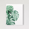 Monstera Leaves - TCP_57AP0208