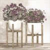 Potted Geraniums by Cindy Jacobs, Canvas Art - C1067618-0120000-ACCQAMA
