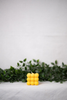 Bubble Candle Collection - 12820993-2