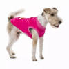 Puppy Heart in Blue and Pink - S001238B001861P000010V015