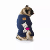 172395545.webp