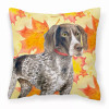 Dog With Fall Design Fabric Decorative Pillow - S000213B001695P114375V000