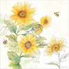 Be My Sunshine II by Cynthia Coulter, Canvas Art - C1086540-0240000-YCEAAMA