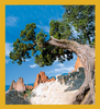Garden of the Gods - Magnetic Bookmark
