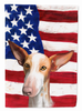 American Flag with Dog Artwork Flag Garden Size - CK6648GF