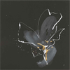 Modern Flower II by Chris Paschke, Canvas Art - C1080000-0240000-8CAAAMA