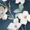 Bella Fiori on Navy I by Lanie Loreth, Canvas Art
