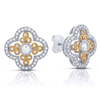 Stud Earrings - S002408B002752P000170V004
