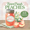 Farm Fresh Peaches by Mollie B., Canvas Art