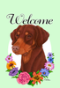 Doberman Red Uncropped  - Best of Breed Welcome Flowers Garden Flag