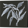 Branch II by Chris Paschke, Canvas Art - C1080080-0240000-8CAAAMA