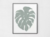 Monstera - TCP_57AP0075