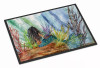 Mermaid Indoor or Outdoor Mat - S000213B001695P037784V009